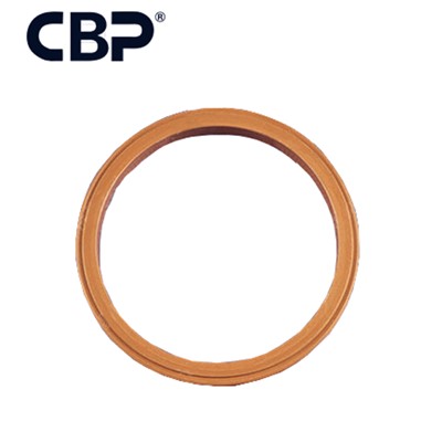 K-type Sealing Ring 60649009 For FAST